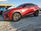 2020 Lexus NX 300 F Sport