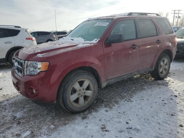 2012 Ford Escape XLT