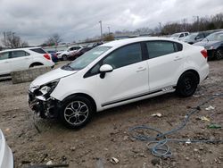 Salvage cars for sale at Louisville, KY auction: 2017 KIA Rio LX