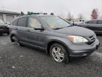 2010 Honda CR-V EXL