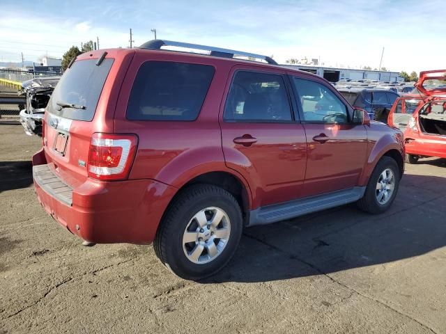 2012 Ford Escape Limited