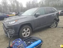 Salvage cars for sale at Waldorf, MD auction: 2019 Toyota Rav4 XLE