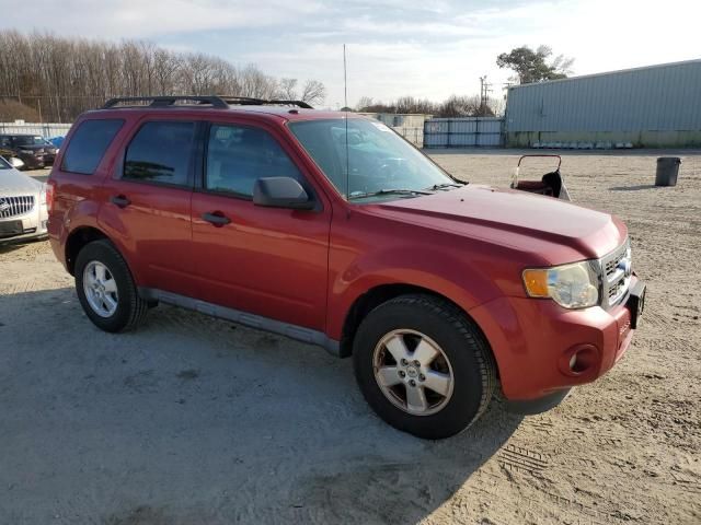 2011 Ford Escape XLT