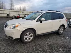 Salvage cars for sale at Arlington, WA auction: 2014 Subaru Forester 2.5I Premium