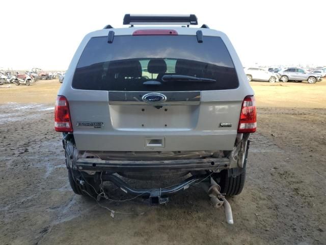 2011 Ford Escape Limited