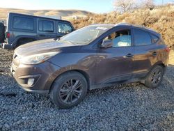 Vehiculos salvage en venta de Copart Reno, NV: 2014 Hyundai Tucson GLS