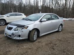 2010 Toyota Corolla Base en venta en Cookstown, ON