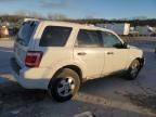 2011 Ford Escape XLS