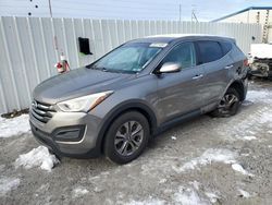 Hyundai salvage cars for sale: 2016 Hyundai Santa FE Sport