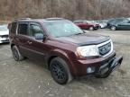 2009 Honda Pilot EXL