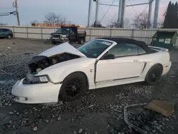 Salvage cars for sale at Windsor, NJ auction: 2004 Ford Mustang