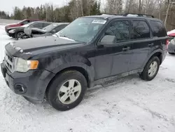 Salvage cars for sale at Cookstown, ON auction: 2010 Ford Escape XLT