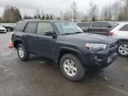 2024 Toyota 4runner SR5/SR5 Premium