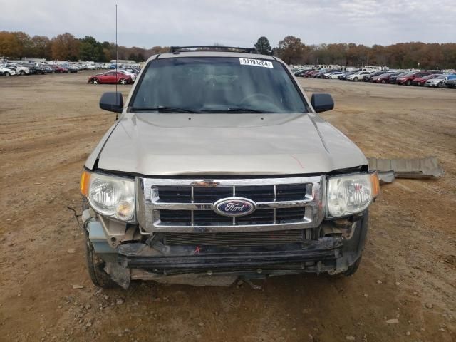 2010 Ford Escape XLT