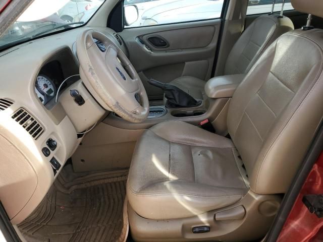 2005 Ford Escape XLT