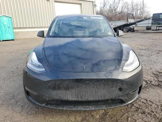 2020 Tesla Model Y