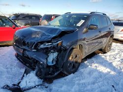 2019 Jeep Cherokee Latitude Plus en venta en Elgin, IL