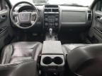 2008 Ford Escape Limited