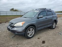 SUV salvage a la venta en subasta: 2010 Honda CR-V EXL