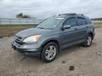 2010 Honda CR-V EXL