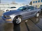 2007 Ford Mustang GT