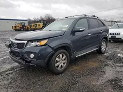 2013 KIA Sorento LX en venta en Hillsborough, NJ