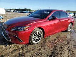 Carros salvage sin ofertas aún a la venta en subasta: 2023 Lexus ES 350 Base