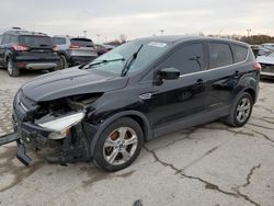 Ford salvage cars for sale: 2014 Ford Escape SE