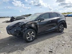 Salvage cars for sale at West Palm Beach, FL auction: 2019 Lexus NX 300 Base