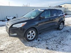 Salvage cars for sale at Albany, NY auction: 2014 Ford Escape SE