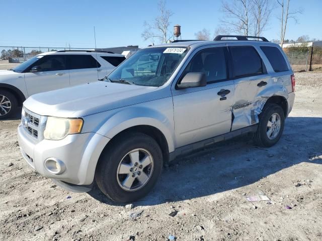 2011 Ford Escape XLT