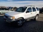 2004 Ford Escape XLT