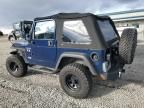 2002 Jeep Wrangler / TJ X