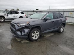 Salvage cars for sale from Copart Martinez, CA: 2019 Toyota Rav4 LE