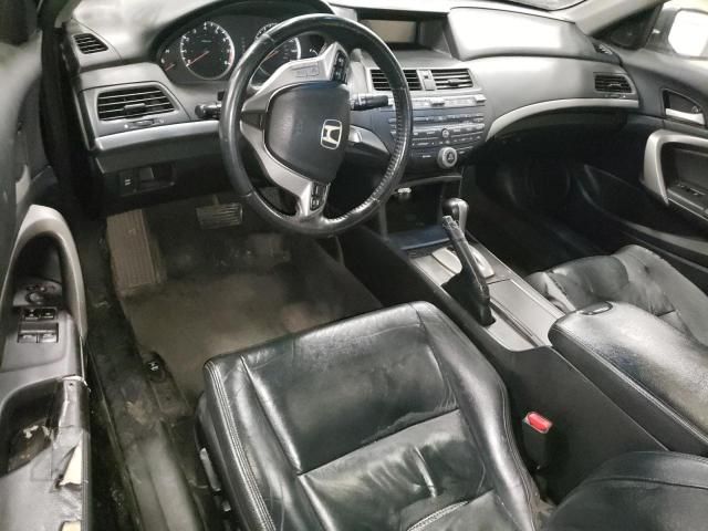 2010 Honda Accord EXL