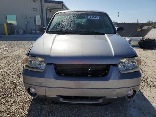 2007 Ford Escape XLT