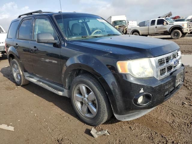 2010 Ford Escape XLT