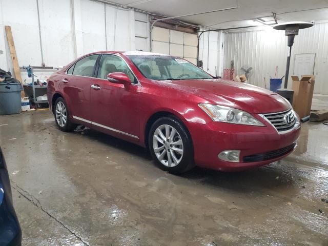 2010 Lexus ES 350