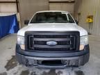 2013 Ford F150