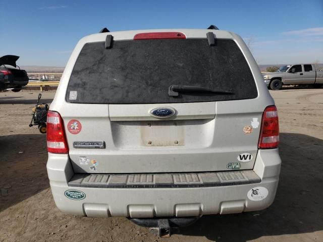 2009 Ford Escape XLT