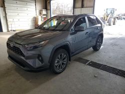 Salvage cars for sale from Copart Glassboro, NJ: 2024 Toyota Rav4 XLE Premium