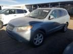 2007 Hyundai Santa FE SE