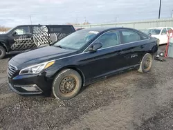 Salvage cars for sale at Ottawa, ON auction: 2016 Hyundai Sonata SE