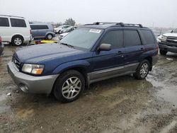 Salvage cars for sale from Copart Antelope, CA: 2005 Subaru Forester 2.5XS LL Bean