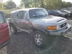 2010 Toyota FJ Cruiser