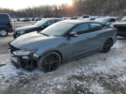 Salvage cars for sale at Marlboro, NY auction: 2019 Nissan Maxima S