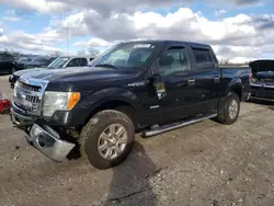 Ford salvage cars for sale: 2013 Ford F150 Supercrew