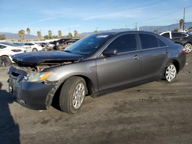 2009 Toyota Camry Hybrid