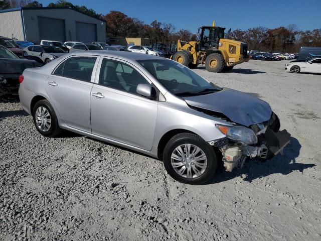 2010 Toyota Corolla Base