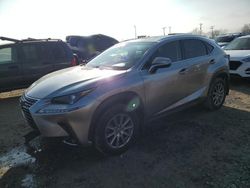 Lexus salvage cars for sale: 2019 Lexus NX 300 Base